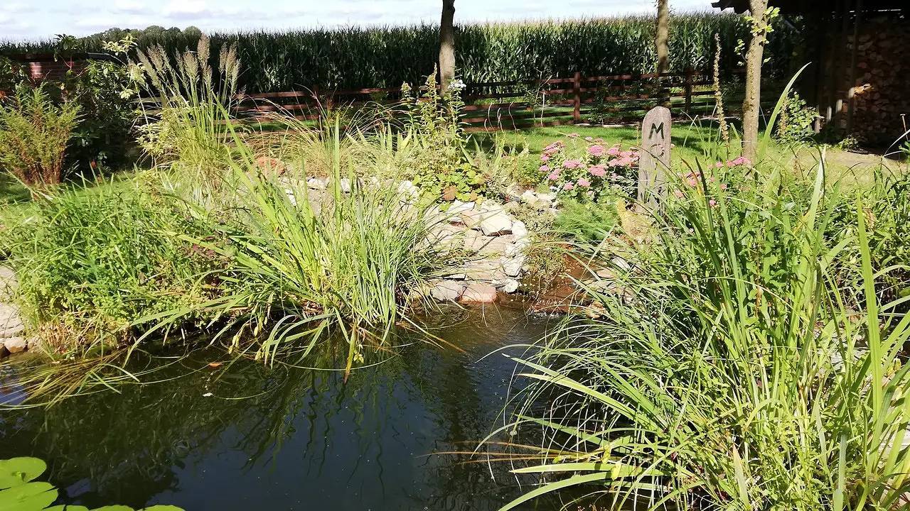 Vakantiehuis voor 2 personen met terras, foto 6