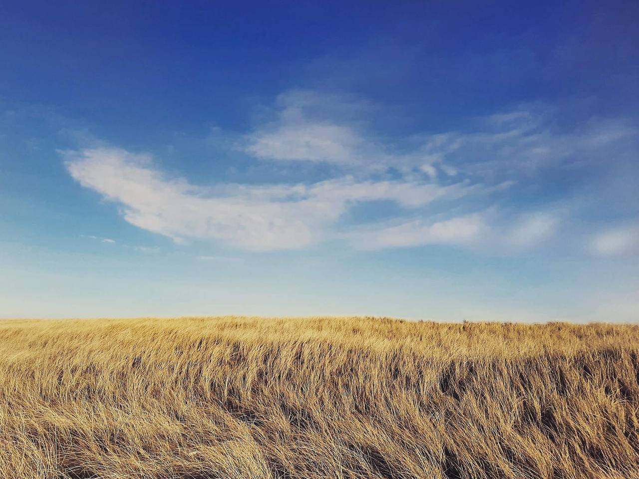8 Personen Ferienhaus in Frøstrup-By Traum in Lild Strand, Dänemark an der Nordsee