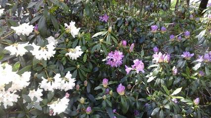 Chambre D’hôte pour 2 Personnes dans Muzillac, Région de Vannes, Photo 2