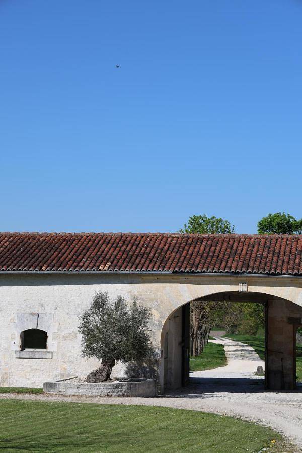 Location de vacances pour 2 personnes, avec piscine ainsi que terrasse et vue dans Réaux - 3
