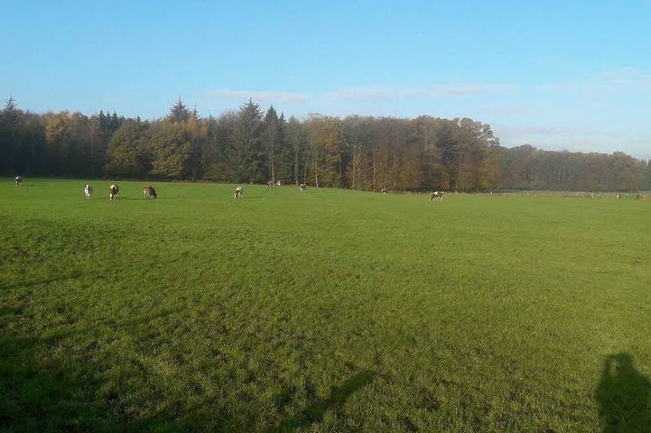 Ferienhaus für 7 Personen, mit Balkon und Garten in Naturpark Aukrug - 4