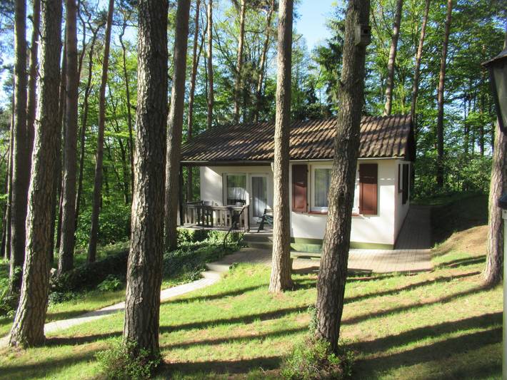 Ferienhaus für 4 Personen, mit Terrasse und Pool sowie Sauna und Ausblick in Hessisches Bergland