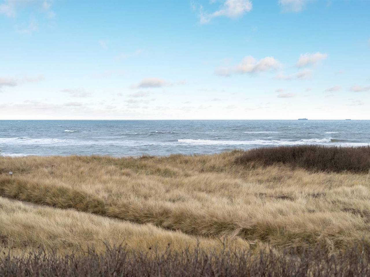 "Skade" - 75m from the sea in Lønstrup, Hjørring en omgeving