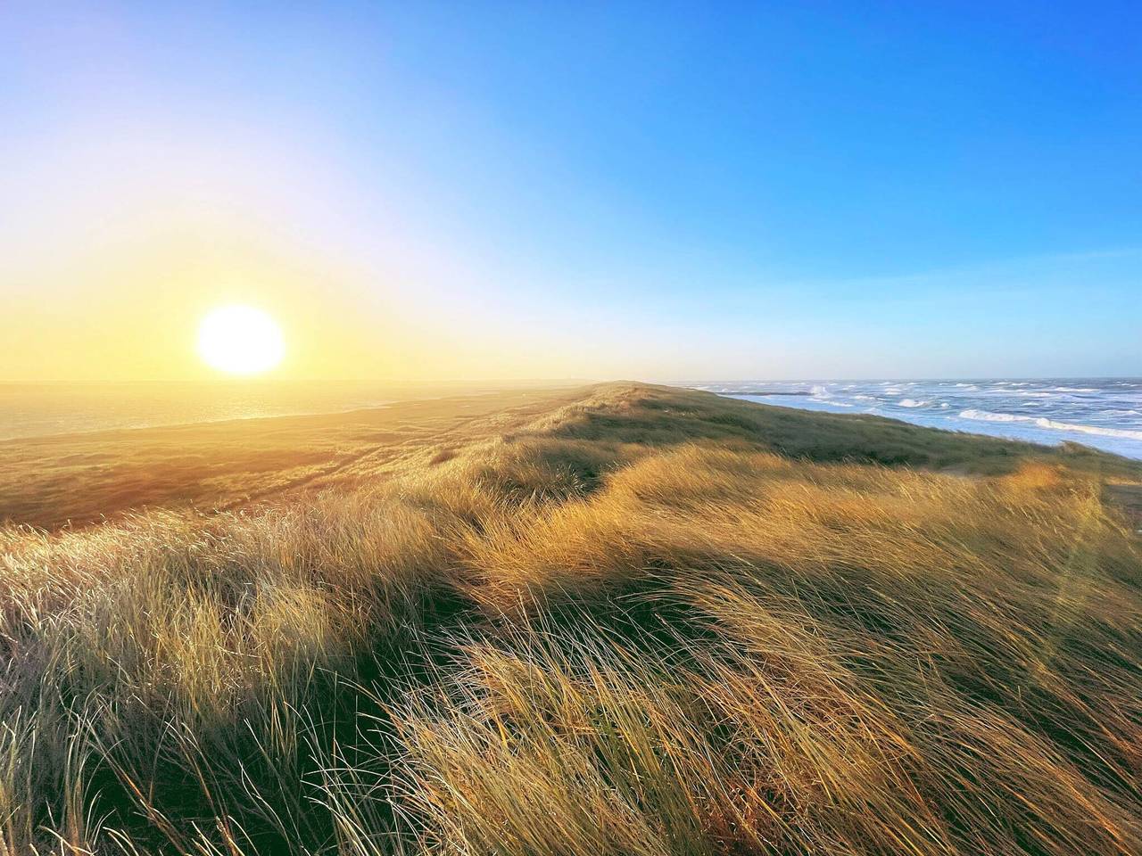 Golfudsigt tilflugt in Vrist, Lemvig Kommune