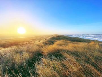 Ferieudlejning til 8 Personer i Harboøre, Vesterhavet, Billede 4