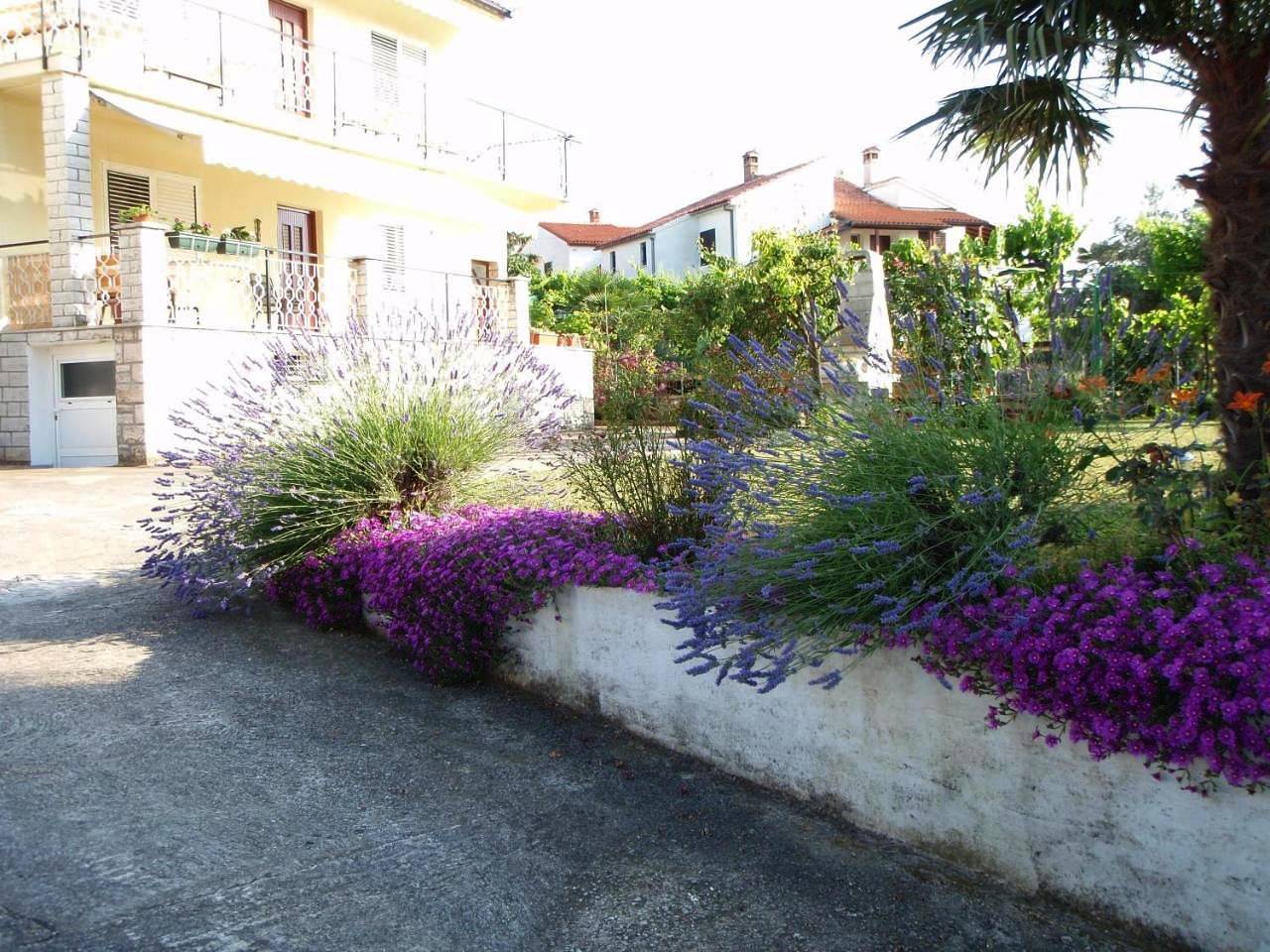 Guest House Jasmin in Rovinj (Kroatische Adria), Rovinj