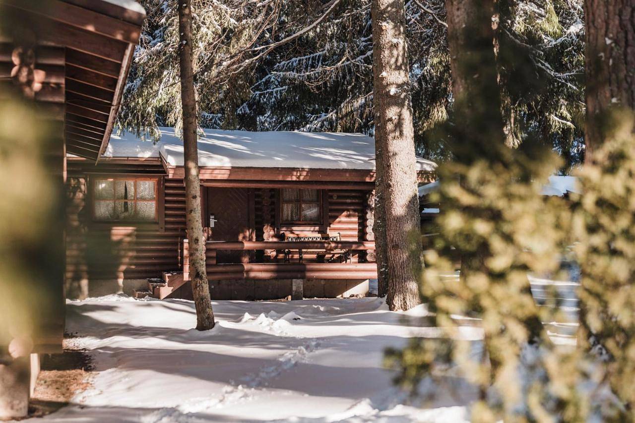 Villa Jagoda Economy in Samokov, Rila National Park