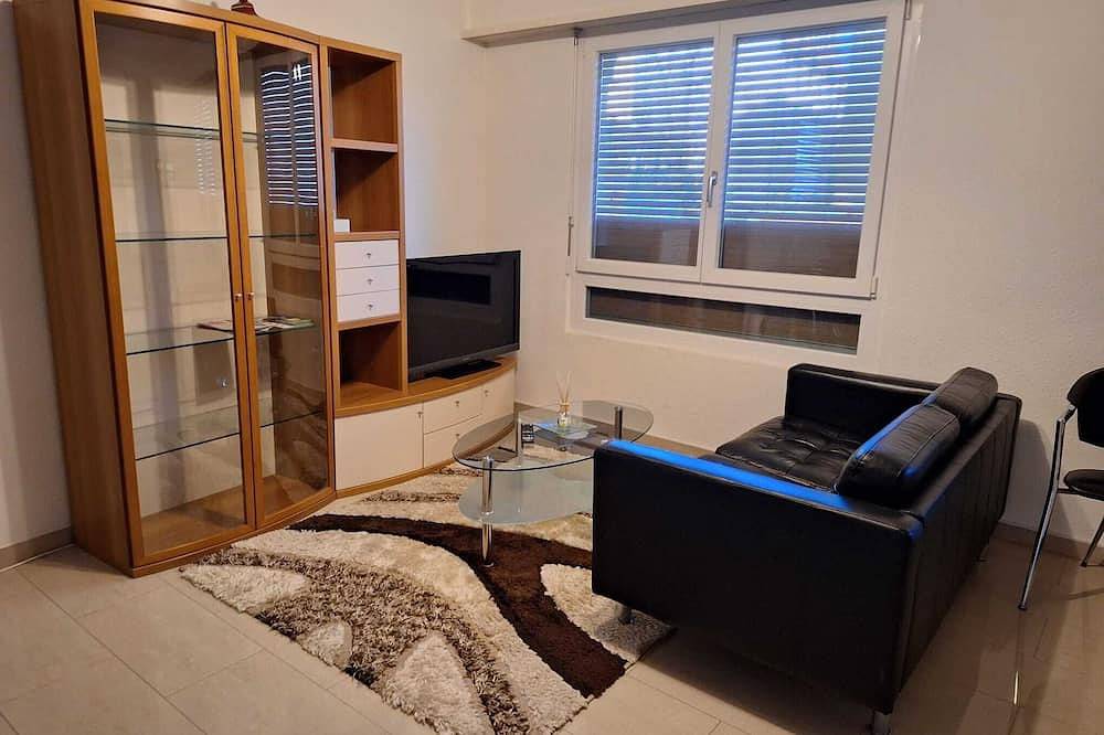 Appartamento intero, Large 1-room apartment-Mark in Basilea, Aargau-Basel