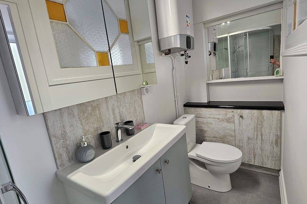 Entire apartment, 60m2 apartment, 2 nd floor elevator, 2 rooms, ideal for 2 to 4 people in Vichy, Vichy region
