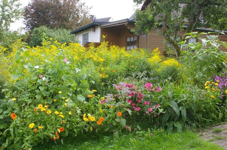 Ferienhaus für 4 Personen, mit Garten, kinderfreundlich