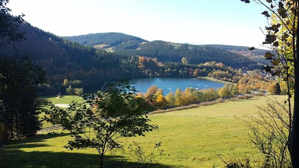 Ferienwohnungen Bergnest Winterberg - Ferienwohnung Bergnest mit Terrasse und herrlichem Ausblick in die Berge in Niedersfeld, Upland
