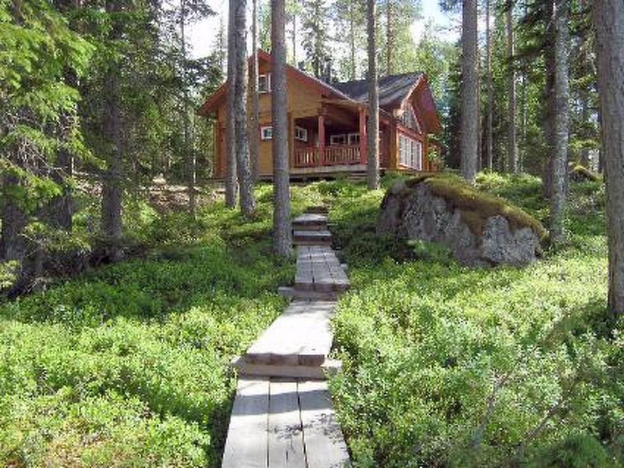 Puolukka in Eräkorpi, Nord-Savo