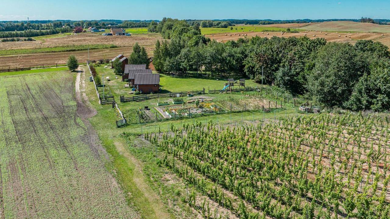 "Ohmazury" ogród i winnica in Niegocin