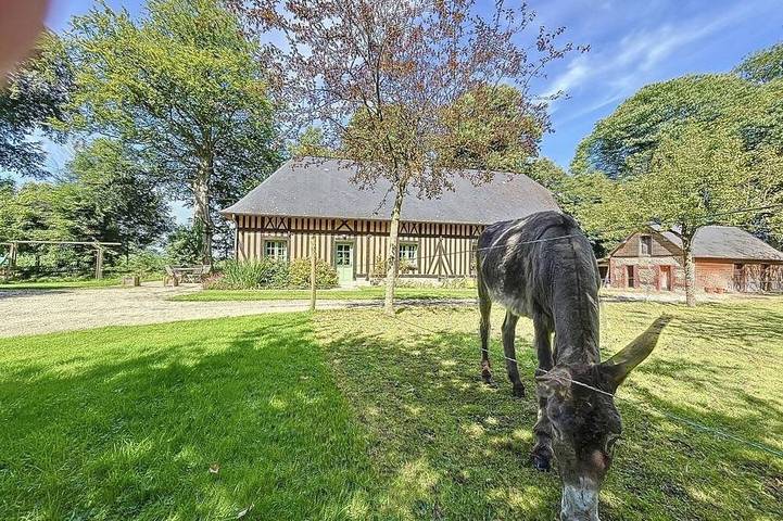 Gîte pour 7 personnes, avec terrasse et jardin dans Auberville-la-Campagne