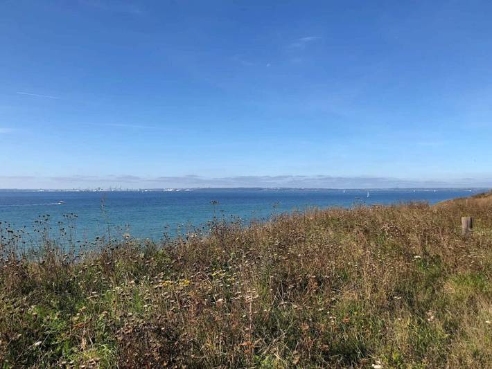 Ferienhaus für 6 Personen, mit Terrasse, mit Haustier in Ostjütland - 4