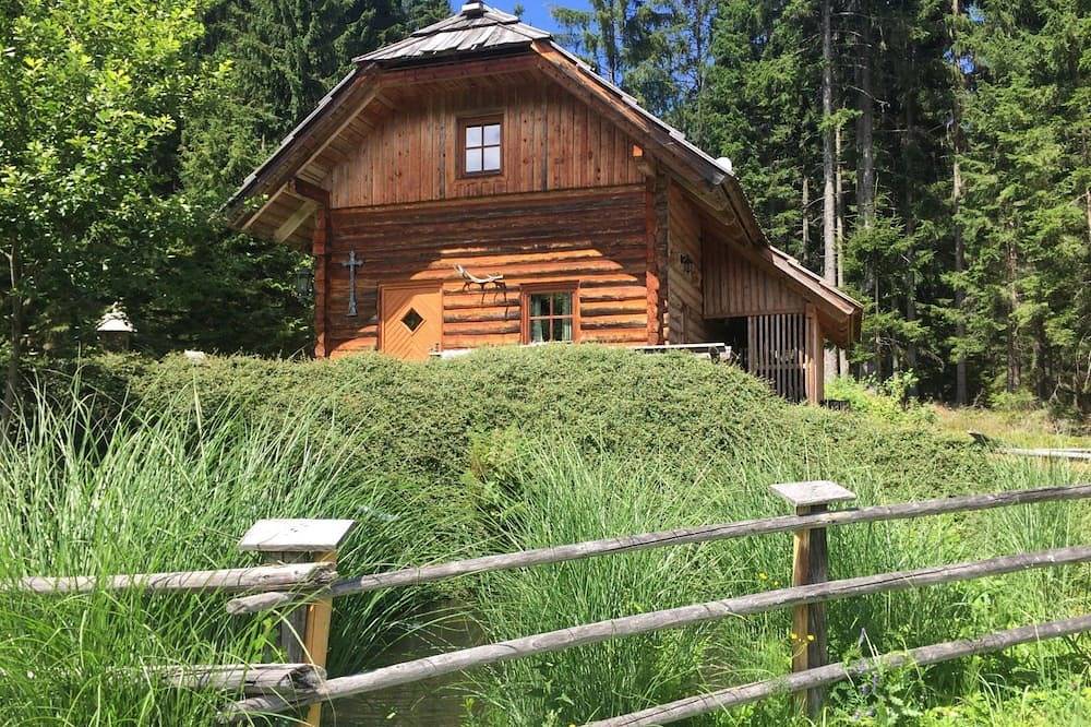 Silbertannenhütte in Gailtaler Alpen, Stockenboi