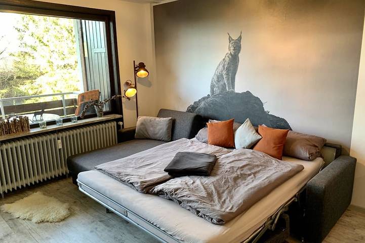 Ganze Wohnung, Unsere Luchsbutze - direkt am Wald, mit Balkon, Garage, Netflix u. WLAN in Sankt Andreasberg, Braunlage