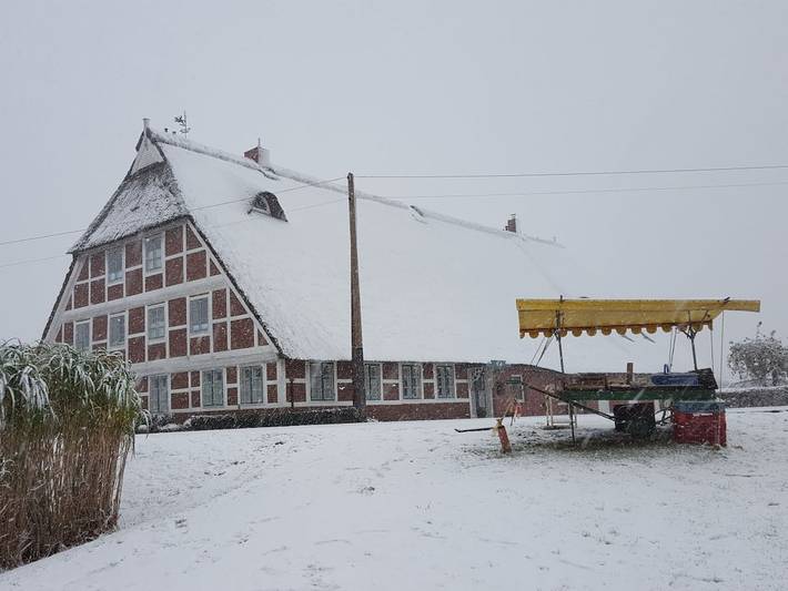 Ferienhaus für 11 Personen, mit Whirlpool und Sauna sowie Garten, mit Haustier in Hamburg - 2