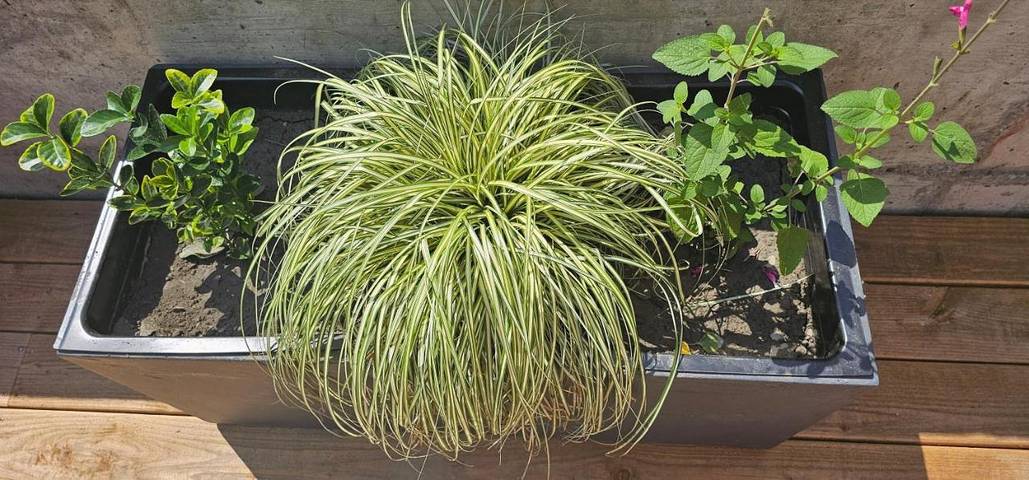 Gîte pour 8 personnes, avec vue ainsi que piscine et jardin à Antignac - 3