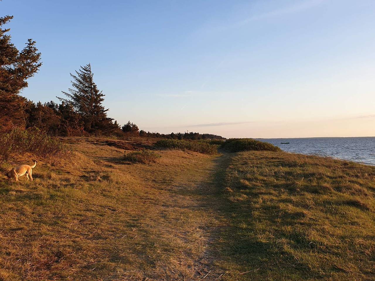 Meeresruhe am Skaven Strand in Skaven Strand, Ringkøbing Fjord