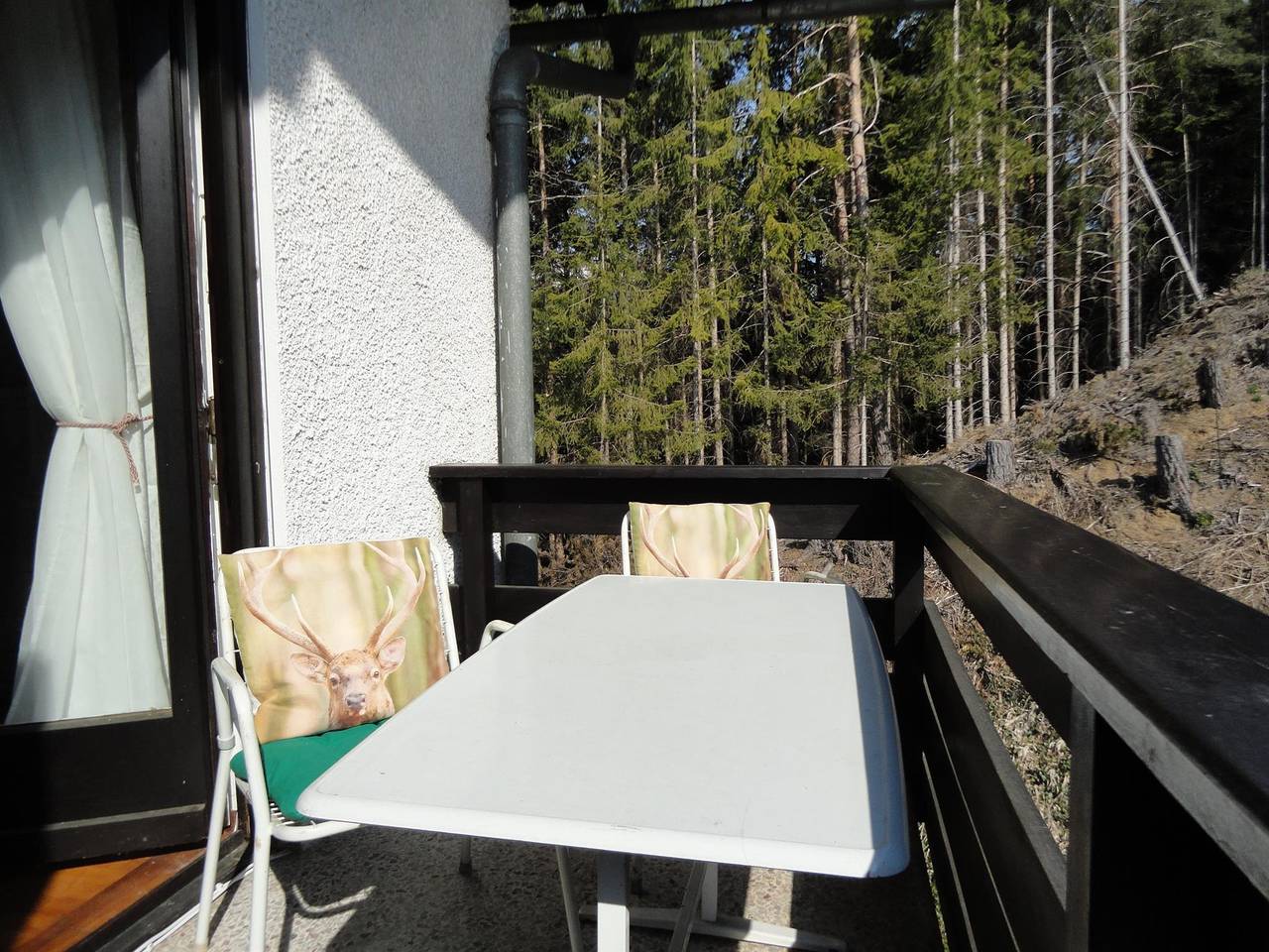 Ganze Ferienwohnung, Appartement/Fewo in Seeboden, Oberkärnten