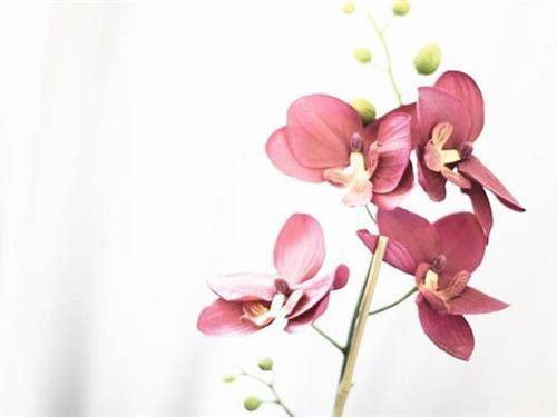 Hôtel pour 4 personnes à Meximieux - 4