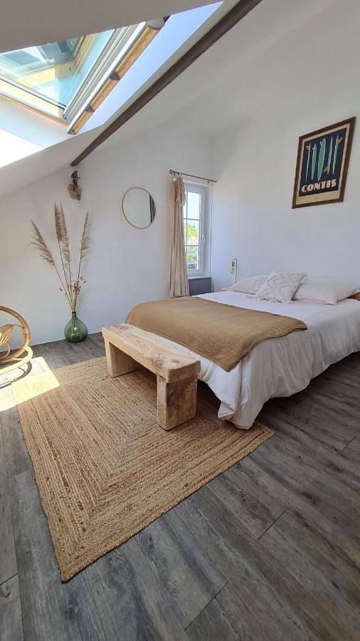 Ferienwohnung für 2 Personen, mit Terrasse und Garten sowie Pool in Lit-et-Mixe - 3