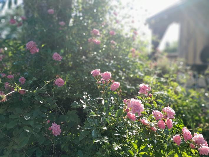 Gîte pour 7 personnes, avec jardin dans Eure-et-Loir - 4