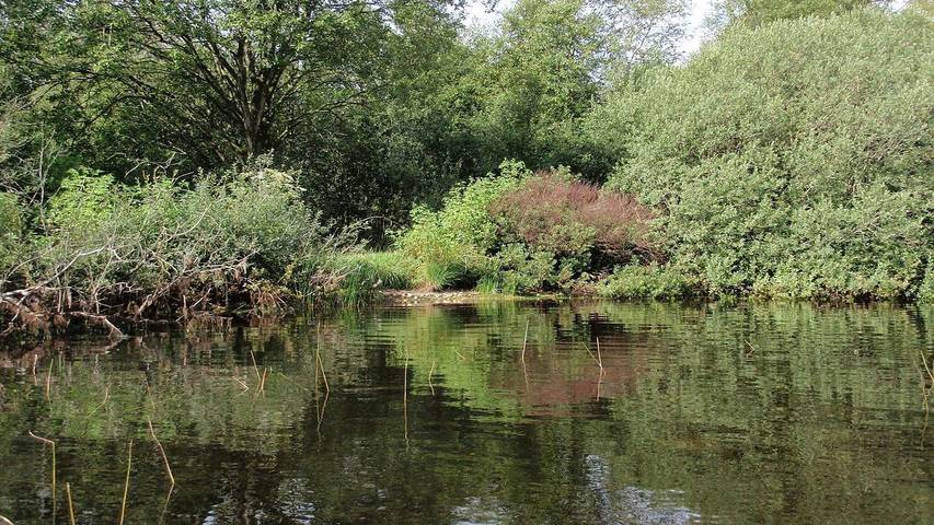 Ferienhaus für 7 Personen, mit Terrasse in Kvie Sø - 4