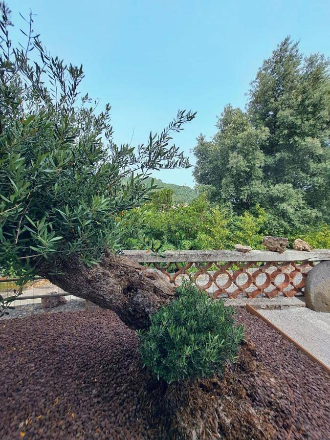 Location de vacances pour 6 personnes, avec vue et jardin, animaux acceptés à Taradeau - 2