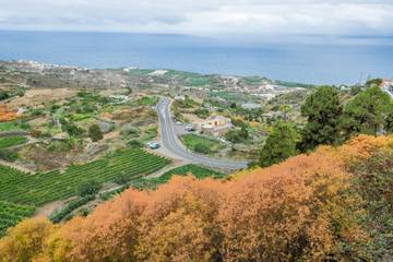 Appartement De Vacances pour 2 Personnes dans La Guancha, Tenerife du Nord, Photo 2