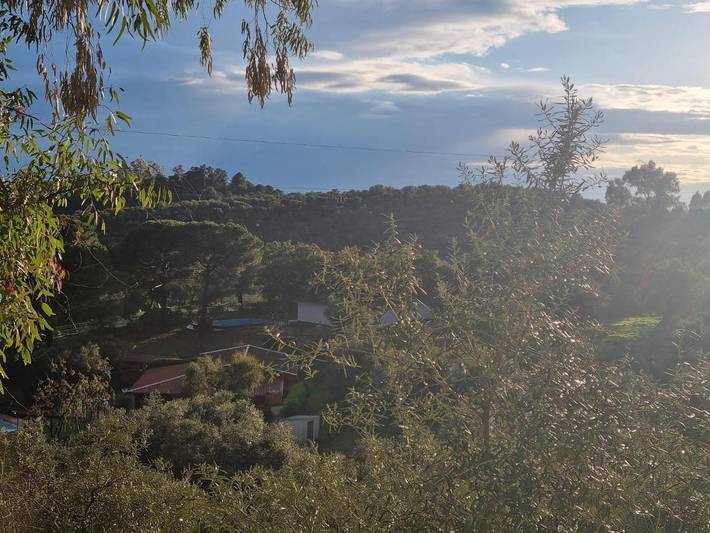 Casa rural para 13 personas, con Terraza además de Piscina y Vistas en Constantina - 4