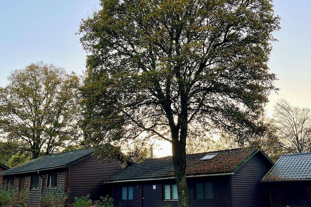 Relax and take your time at Chalet du temps suspendu in Rendeux, Luxemburg Provinz