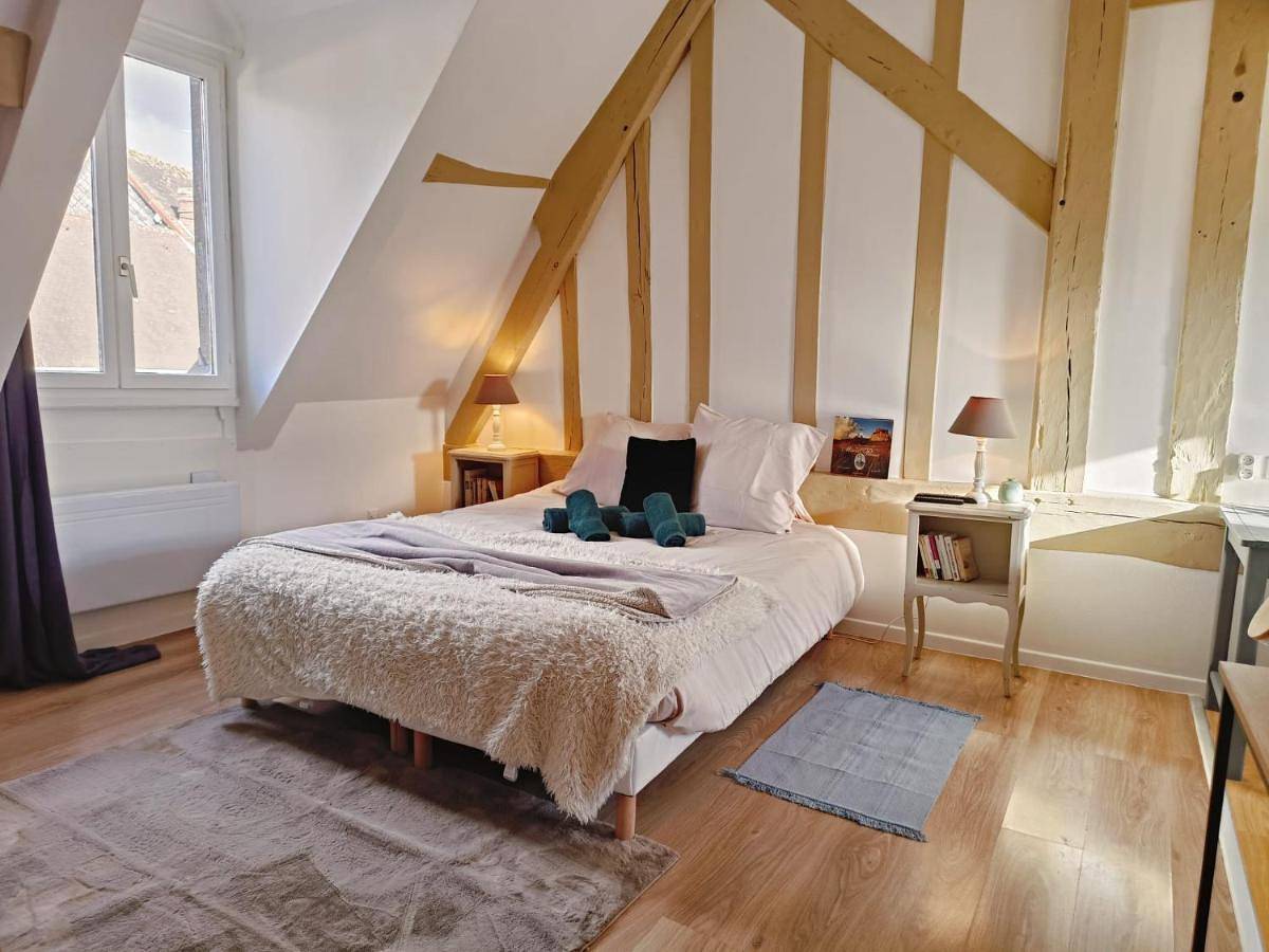 Appartement entier, One-Bedroom Apartment in Illiers-Combray, Région de Chartres