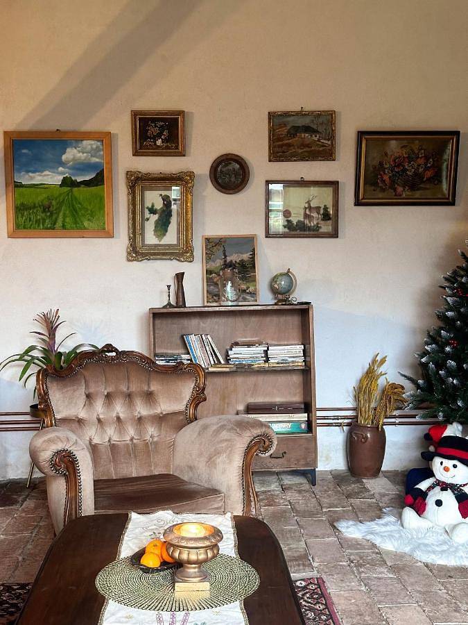 Maison d’hôte pour 2 personnes, avec sauna et piscine ainsi que jardin et vue, animaux acceptés dans Mureș - 2