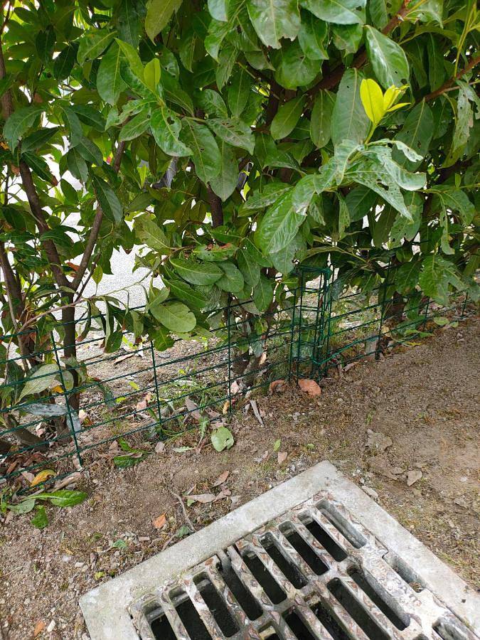 Gîte pour 4 personnes, avec jardin et vue, animaux acceptés à Faverges - 2