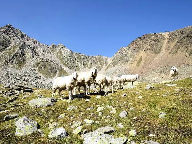 Ganze Wohnung, 3 Zimmer 4 Personen in Sölden (Österreich), Ötztal