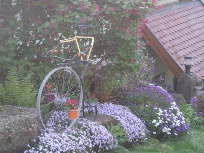 Gîte pour 4 personnes, avec jardin et vue, animaux acceptés à Thannenkirch - 4