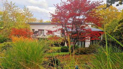 Ferienhaus für 10 Personen, mit Terrasse und Sauna sowie Garten, mit Haustier in Frankenberg (Eder)