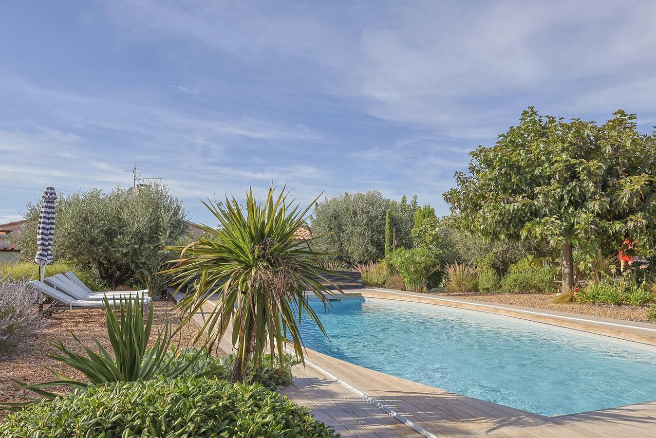 La Farigoule in Eyragues, Region de Arles