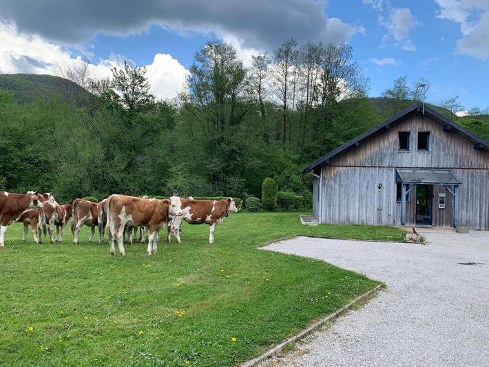 Gîte pour 4 personnes, avec jardin et vue à Nans-sous-Sainte-Anne - 4