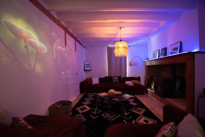 Villa pour 30 personnes, avec piscine et jardin ainsi que sauna et jacuzzi dans le Gers - 3