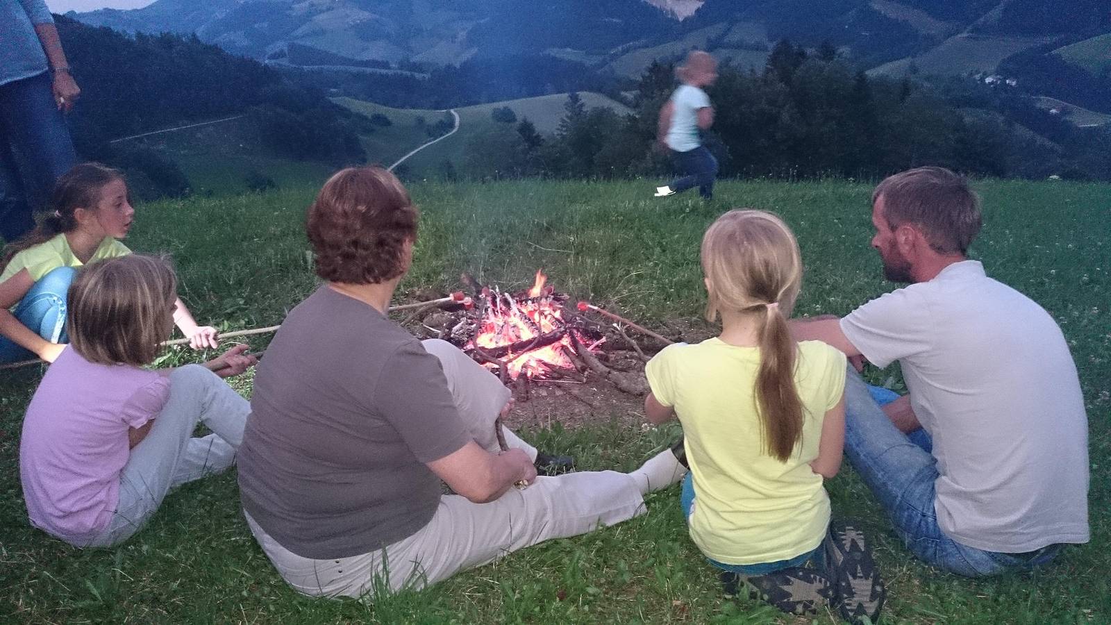 Ganze Ferienwohnung, Ferienwohnung für 6 Personen mit Garten in Großraming, Steyr-Land