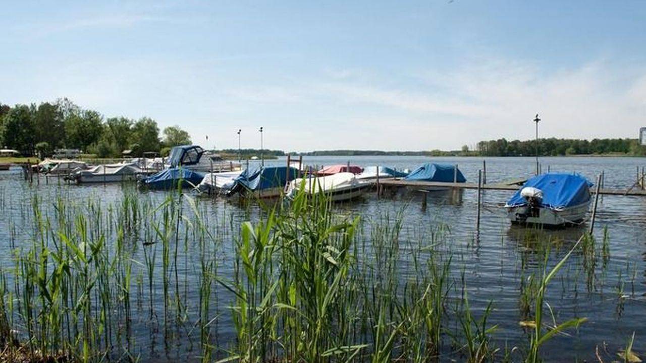 Ganze Ferienwohnung, Ferienwohnung für 4 Personen (40 m²) in Märkische Heide in Alt Schadow, Märkische Heide