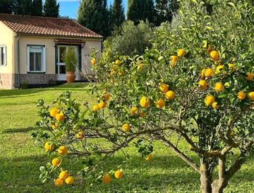 Gîte pour 2 personnes, avec jardin ainsi que terrasse et piscine à Olvera