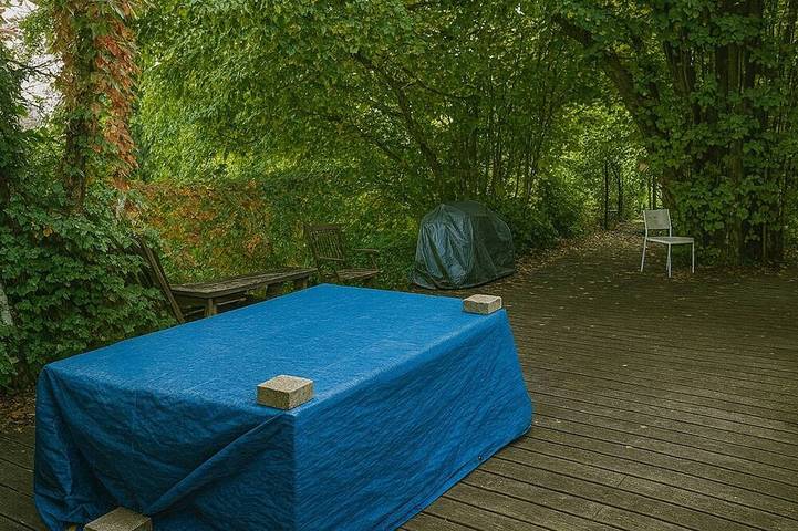 Gîte pour 6 personnes, animaux acceptés à Brétigny-sur-Orge - 4