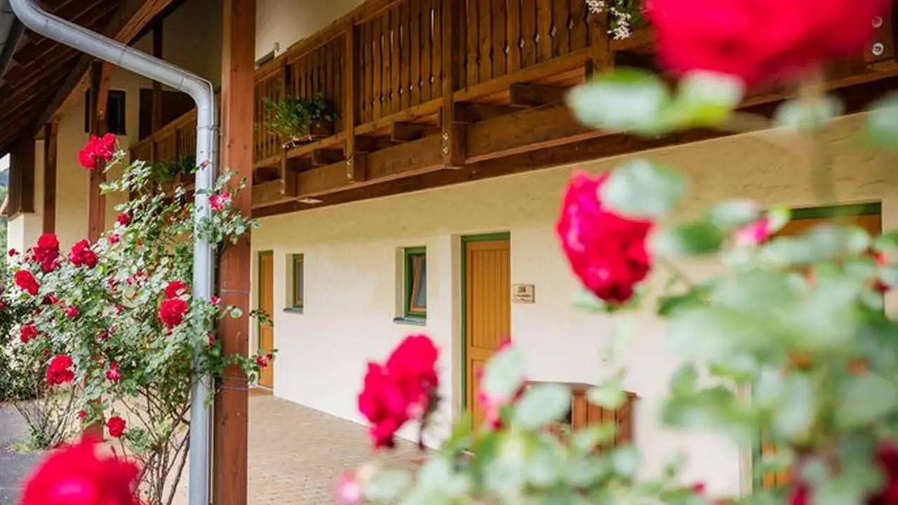Einzelzimmer für 1 Person (20 m²) in Tieschen in Südoststeiermark, Tieschen