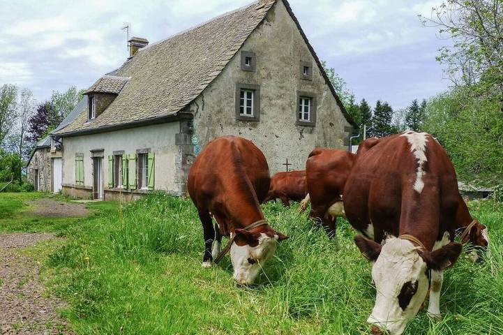 Maison de vacances pour 8 personnes, avec jardin et balcon - 1