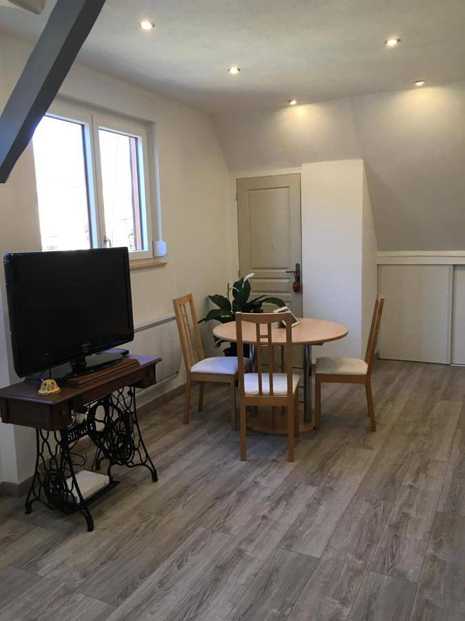 Location de vacances pour 6 personnes, avec terrasse, adapté aux familles à Horbourg-Wihr - 4