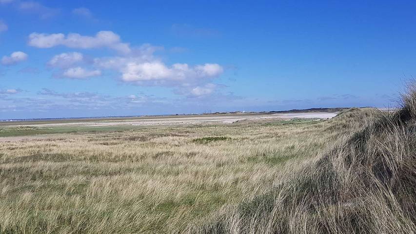 Ferienhaus mit Meerblick für 9 Personen, mit Whirlpool und Terrasse in Blavand - 4